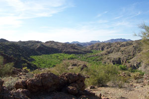 Photo of a canyon reach (Photo courtesy of P. Shafroth)
